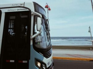 Bus